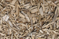 biomass boilers Royal Oak