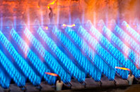 Royal Oak gas fired boilers